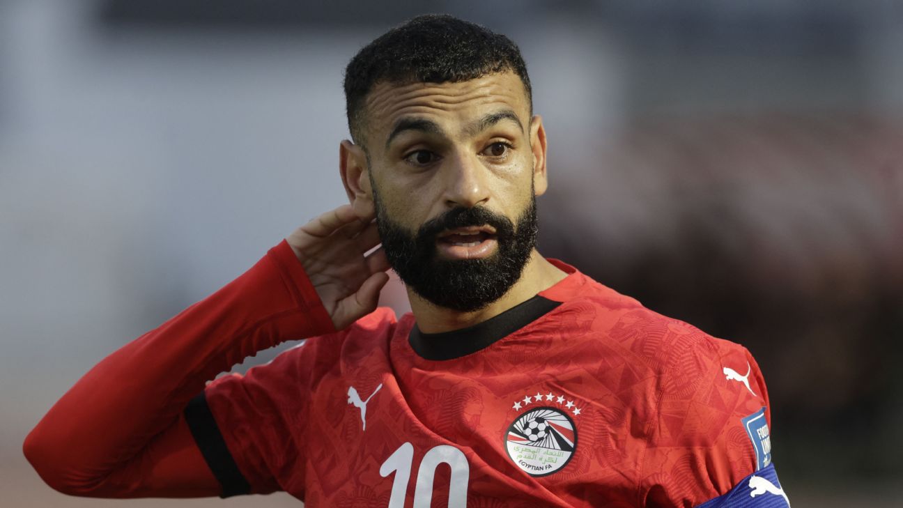 FIFA要求埃及世界杯球衣去掉七颗星 号码也改为白色